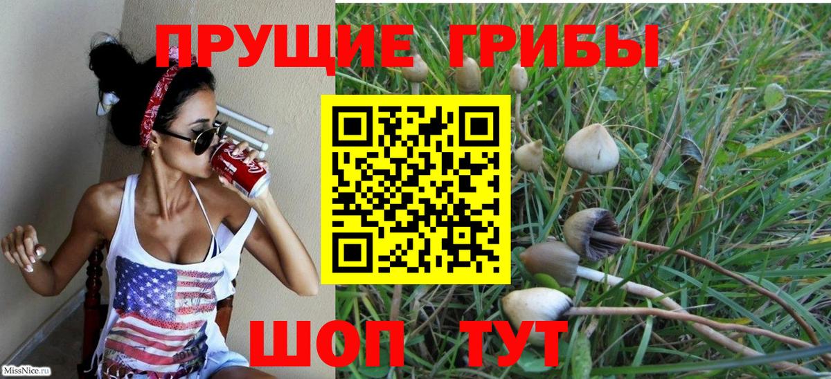 Галлюциногенные грибы мухоморы Горячий Ключ